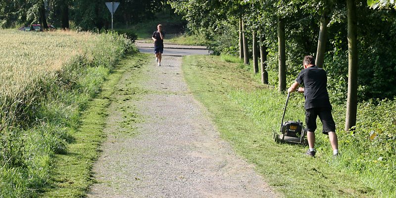 Bienentod: Mähen von Randstreifen Bienentod: Mähen von Randstreifen