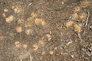 Ebene Flächen Ebene Flächen