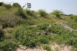 Hänge & Böschungen Hänge & Böschungen