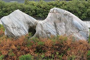 Mögliches Gestein für freistehende Nester Mögliches Gestein für freistehende Nester