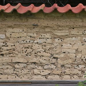Pelzbienenwand aus ungebrannten Lehmziegeln und Lehmm&ouml;rtel