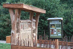 Info-Tafel vor der Wildbienen-Wand Info-Tafel vor der Wildbienen-Wand