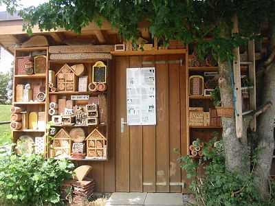 Wildbienenwand der Familie Amsler (1) Wildbienenwand der Familie Amsler (1)