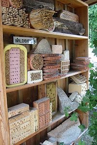 Amslers Wildbienenstand: rechts neben der Tür (2) Amslers Wildbienenstand: rechts neben der Tür (2)