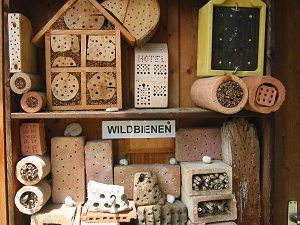 Amslers Wildbienenwand: einzelne Nisthilfen (3) Amslers Wildbienenwand: Nisthilfen (3)