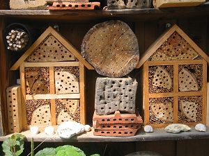 Amslers Wildbienenwand: Detailansichten (4) Amslers Wildbienenwand: Detailansichten (4)