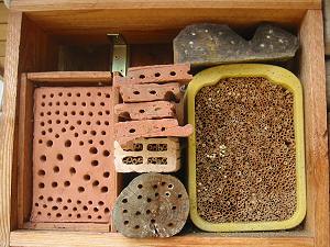 Amslers Wildbienenwand: Detailansichten (6) Amslers Wildbienenwand: Detailansichten (6)