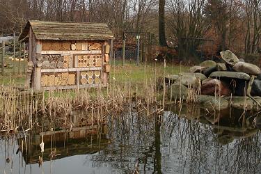 Wildbienenstand des BUND, Neumünster Wildbienenstand des BUND, Neumünster