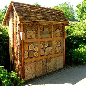 Neuer Botanischer Garten Kiel Neuer Botanischer Garten Kiel