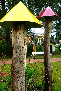 Landesgartenschau Schleswig 2008, 2 Landesgartenschau Schleswig 2008, 2