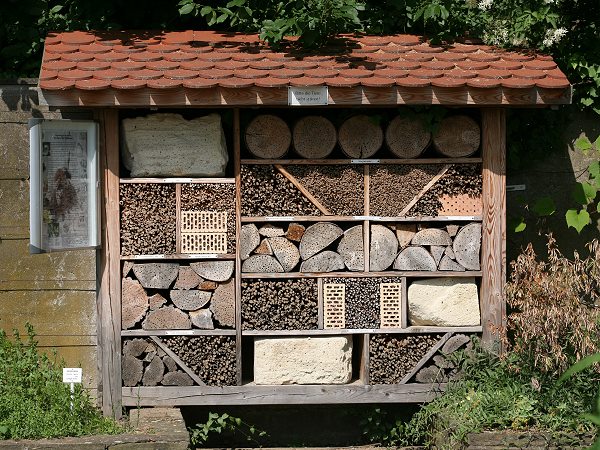 Botanischer Garten Bonn: variantenreicher Bienenstand Botanischer Garten Bonn: variantenreicher Bienenstand