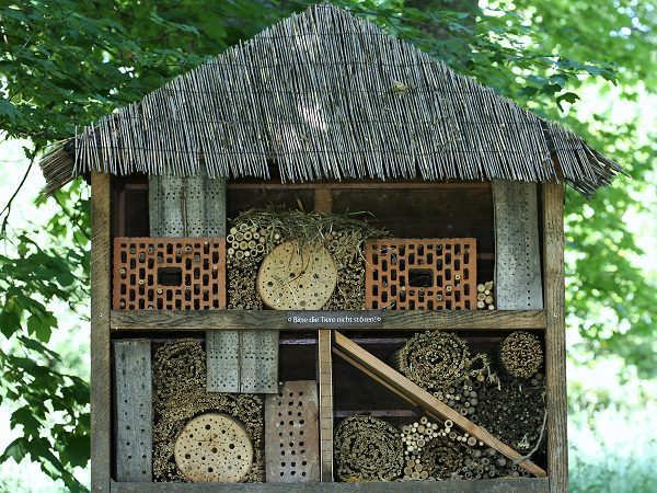 Botanischer Garten Bonn: Kleiner Bienenstand Botanischer Garten Bonn: Kleiner Bienenstand