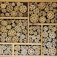 Naturschutzzentrums Bruchhausen in Erkrath Naturschutzzentrums Bruchhausen in Erkrath