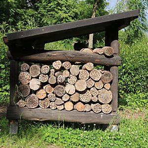 NaturGut Ophoven: Bienenhütte mit Baumscheiben NaturGut Ophoven: Bienenhütte mit Baumscheiben