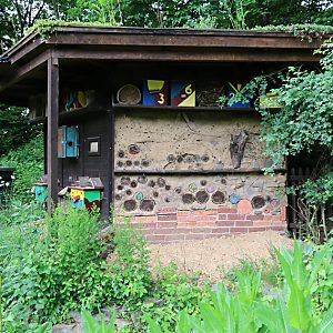 NaturGut Ophoven: Bienenhaus mit Lehmwand und -boden NaturGut Ophoven: Bienenhaus mit Lehmwand und -boden