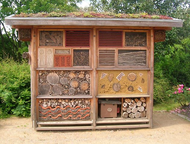 Wildbienenstand in Ellerhoop, SH Wildbienenstand in Ellerhoop, SH
