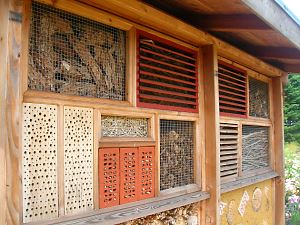 Ellerhoop, SH: Nistangebote Ellerhoop, SH: Nistangebote