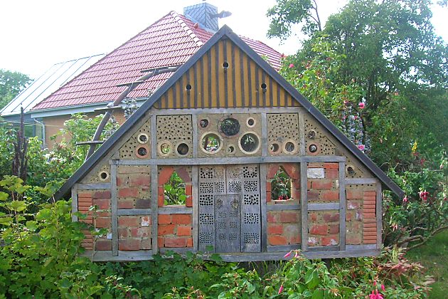 Wildbienenstand in Wendtorf, SH Wildbienenstand in Wendtorf, SH