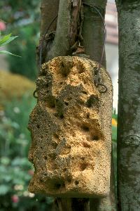 Schwegler-Nistblock aus Holzbeton Schwegler-Nistblock aus Holzbeton