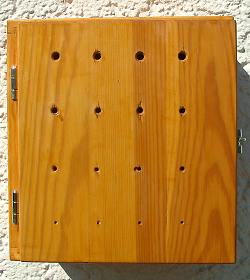 Biedenkopf-Demo-Nistkasten geschlossen Biedenkopf-Demo-Nistkasten geschlossen