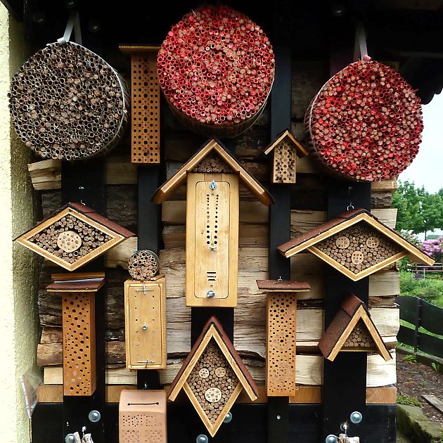 Manfred Frey: Beobachtungs- und andere Nisthilfen Manfred Frey: Beobachtungs- und andere Nisthilfen