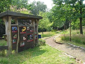 Rückseite des Wildbienen-Standes und Pfad Rückseite des Wildbienen-Standes und Pfad
