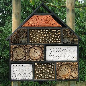 Mehrzweck-Bienenhaus renoviert Mehrzweck-Bienenhaus renoviert