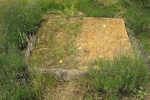 Wildbienen-"Sandkasten" Wildbienen-Sandkasten