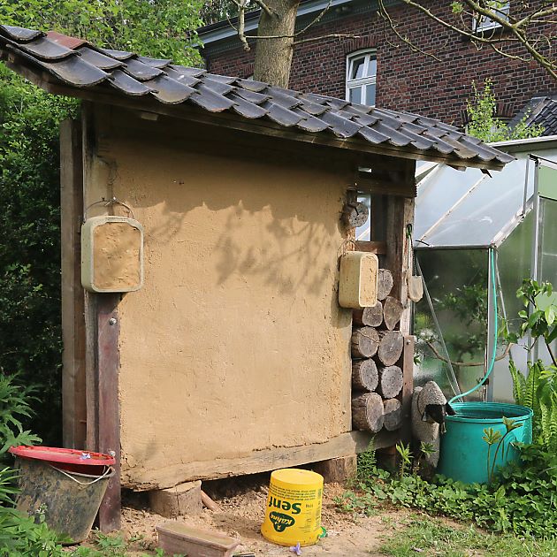 NSZ Bruchhausen: Lehmwand für Lehmwespen, Pelzbienen etc. NSZ Bruchhausen: Lehmwand für Lehmwespen, Pelzbienen etc.