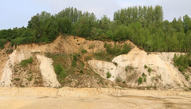 Sandgrube am NSZ Bruchhausen Sandgrube am NSZ Bruchhausen