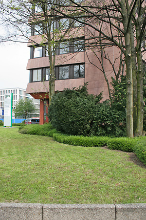 Andrena-cineraria-Kolonie im Rasen (1)