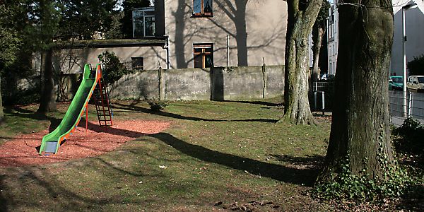 Spielplatz mit Andrena-clarkella-Aggregation