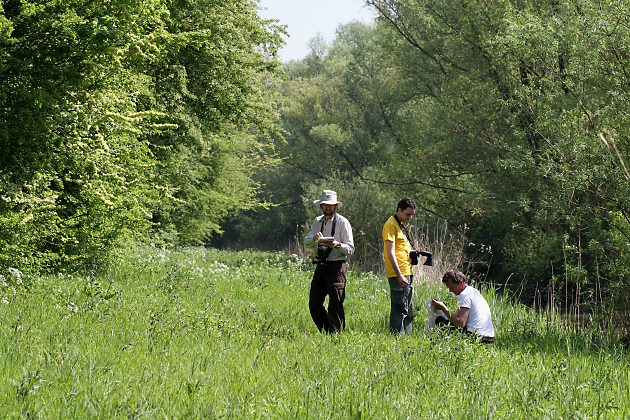 Andrena-stragulata-Nisthabitat und 3 Bienenkundler Andrena-stragulata-Nisthabitat und 3 Bienenkundler