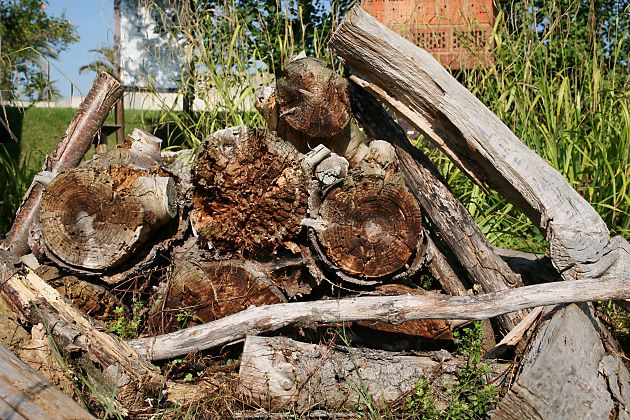 Morsches Holz Morsches Holz
