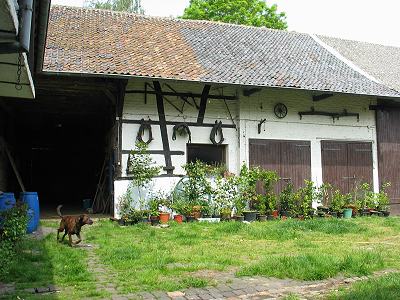 Pelzbienen-Aggregation in einer Scheune Pelzbienen-Aggregation in einer Scheune