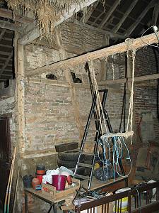 Anthophora-plumipes-Aggregation oberhalb des Mauerwerks Anthophora-plumipes-Aggregation oberhalb des Mauerwerks