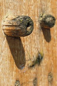 ... und Abflug ... und Abflug