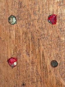 Bl&uuml;tenbl&auml;tter als Nestverschl&uuml;sse