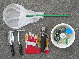 Ausr&uuml;stung f&uuml;r eine Hummel-Umsiedling