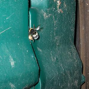 Arbeiterin an Kompostkiste