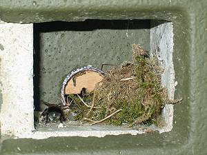 Erste R&uuml;ckkehr zum neuen Kasten