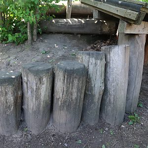 Nest im Erdreich hinter Palisaden