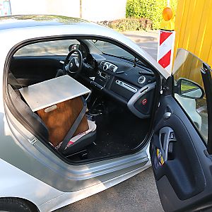 Hummeln auf dem Beifahrersitz