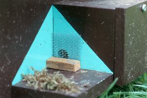 "Schiebetür" gegen Wachsmotten "Schiebetür" gegen Wachsmotten