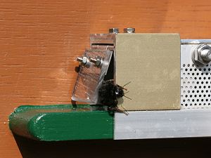 Steinhummel gegen Pendelklappe ... Steinhummel gegen Pendelklappe ...