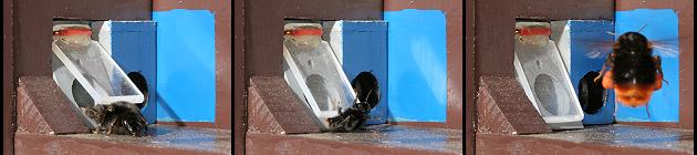 Aufstoßen der Ausgangsklappe Aufstoßen der Ausgangsklappe