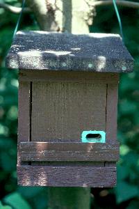 Als Hummelkasten umgebauter Vogelkasten