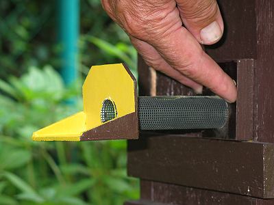 Solinger Wachsmottenschutz