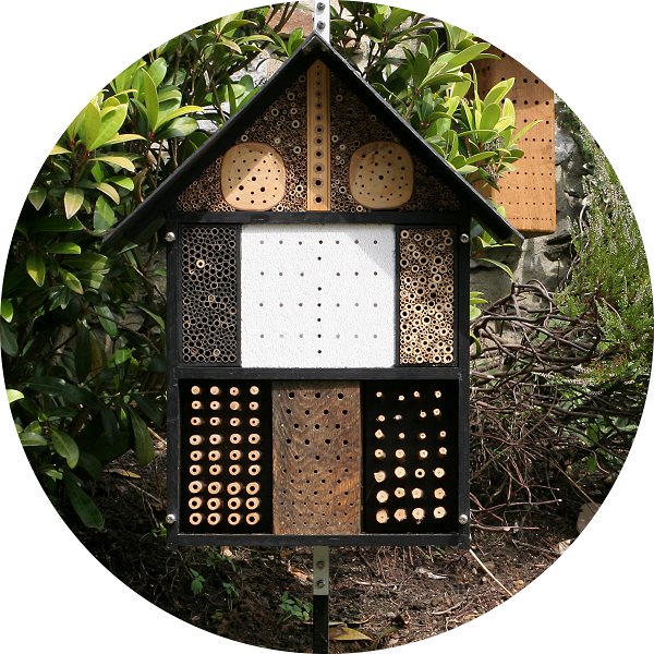 Wildbienenschutz: Bl&uuml;tenpflanzen, Nisthilfen etc.