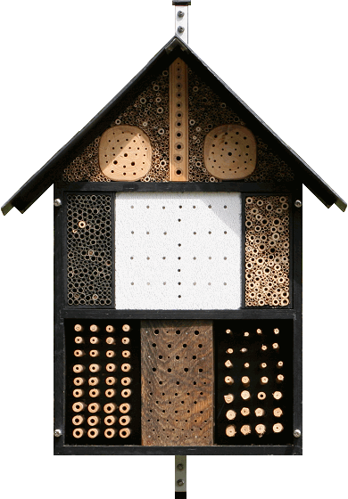 Wildbienen-Schutz (Kombi-Nisthilfe)